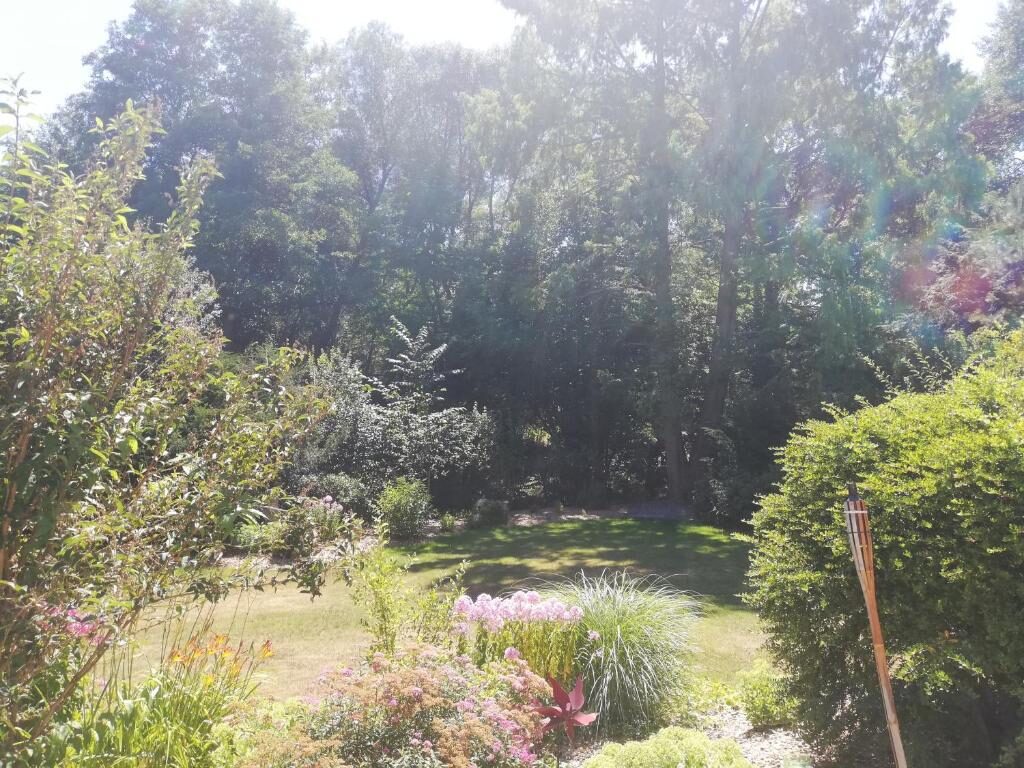 Blick in den naturnahen Garten bei den Ferienwohnungen in Nittenau